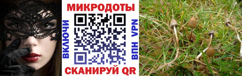 наркотики Отрадная Псилоцибиновые грибы мухоморы